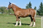 září 2016