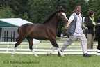 Pardubice 2010