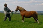 květen 2016
