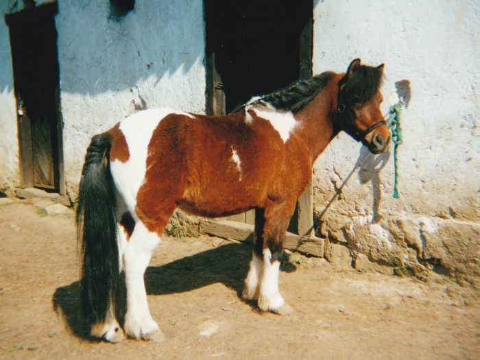 008.jpg